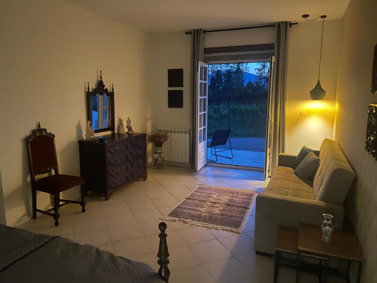 Quinta Da Paixao - Bed & Breakfast Pedraca Extérieur photo