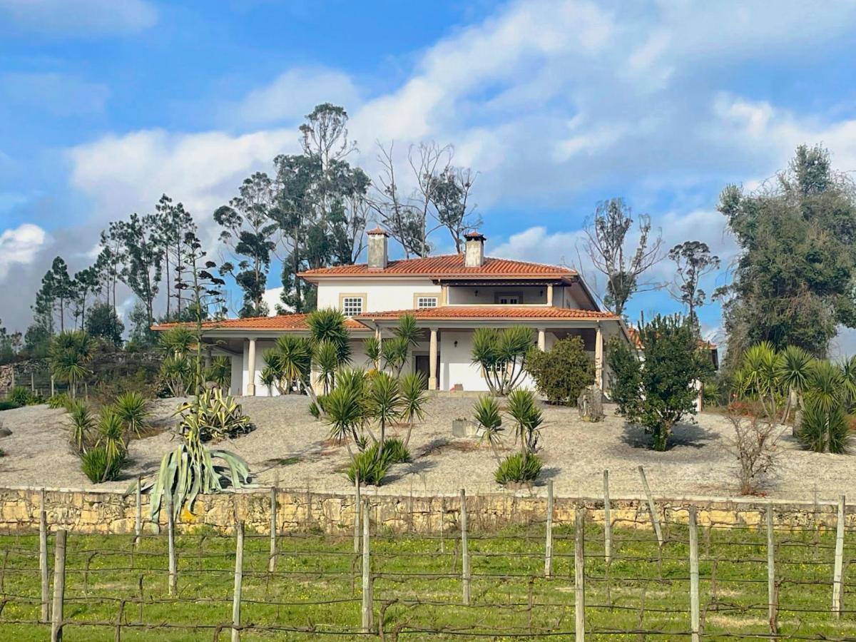 Quinta Da Paixao - Bed & Breakfast Pedraca Extérieur photo